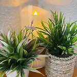 Appartement Banfield