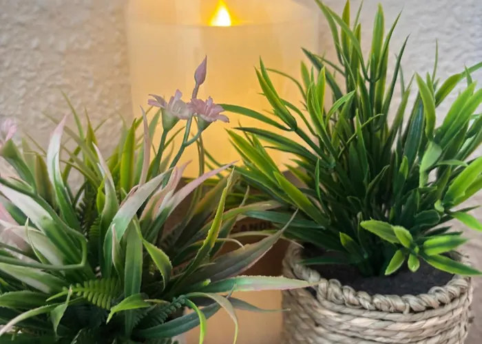 Апартаменты Banfield